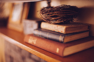 Stack of books on bookshelf with a bird's nest